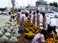 藤岡北高等学校　藤岡市内の花壇に生徒がデザインしながら植える